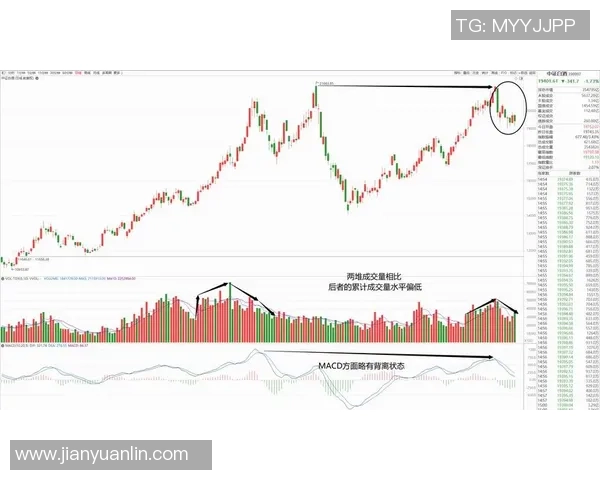 重庆足球队与上海足球队赛后技术分析与战术复盘探讨